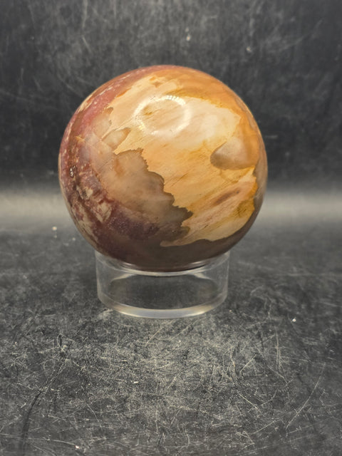 Petrified wood sphere! 65.7mm, 2.5 inches, 14.3 ounces