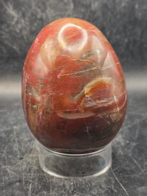 Petrified wood egg! 15 ounces, 3.1 inches tall, 2.4 inches wide!