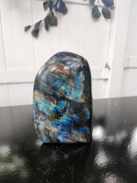 1.13 pound, 5 inch Labrodite free form