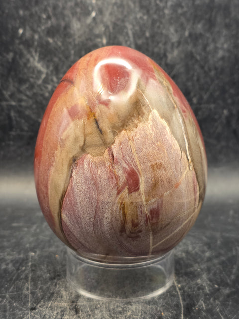Petrified wood egg! 1.2 pounds, 3.3 inches tall, 2.6 inches wide