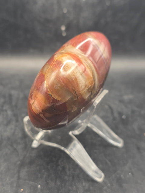 Petrified wood heart! 8.5 ounces, 2.8 by 2.8 inches!