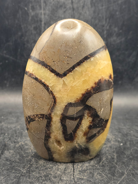 Septarian stone free form! 14 ounces, 4 inches tall, 2.6 inches wide