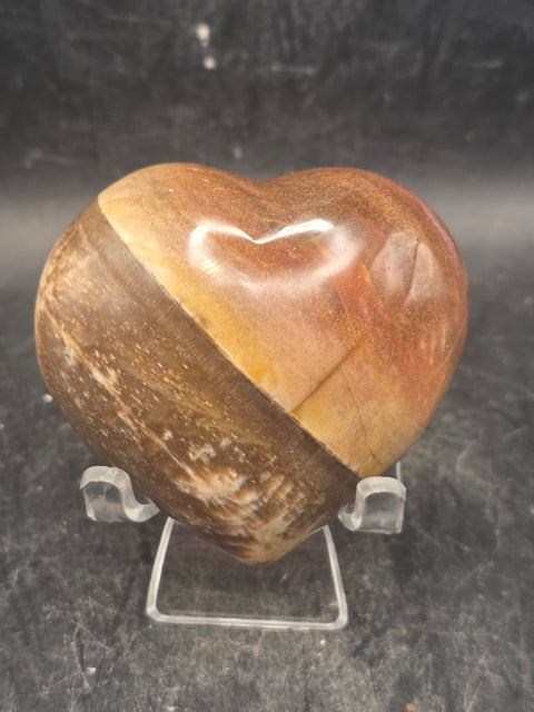 Petrified wood heart! 4.9 ounces, 2.4 inches tall, 2.2 inches wide!