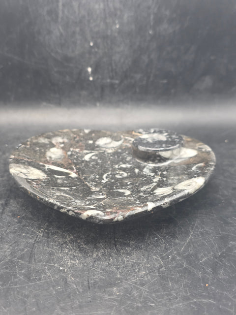 Ammonite heart fossil plate! 4.4 inches wide, 4.3 inches tall