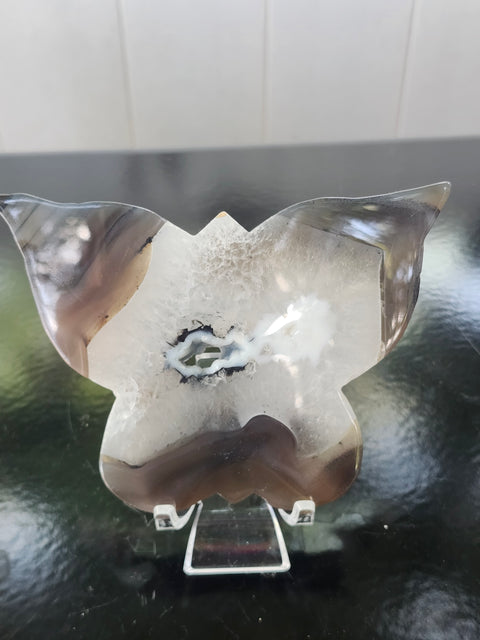 Druzy agate butterfly! 4.9 inches wide, 3.36 inches tall, 8 ounces