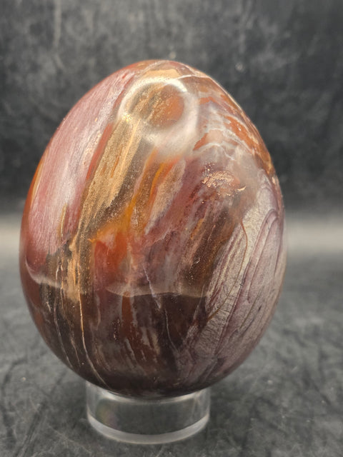 Petrified wood egg! 3.1 inches tall, 2.5 inches wide, 1 pound