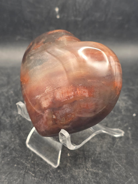 Petrified wood heart! 6.5 ounces, 2.7 inches wide, 2.5 inches tall