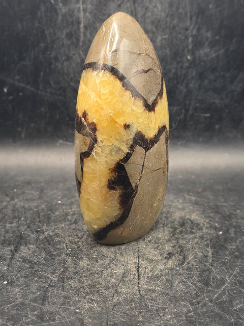Septarian stone free form! 14 ounces, 4 inches tall, 2.6 inches wide