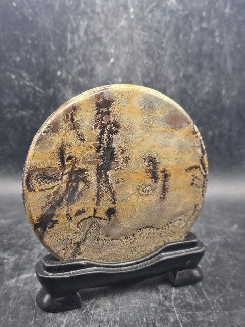 Natural picture jasper slab with stand! 4.6 ounces, 3.5 inches wide