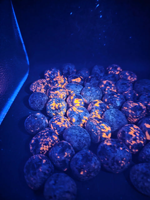 Yooperlite flame stone tumbles set of 5! .9 too 1.2 inches long