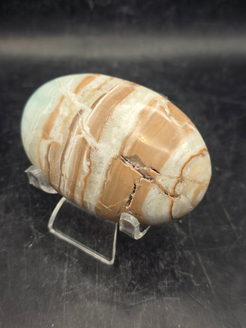 Caribbean calcite palm stone! 4.1 ounces, 2.9 inches long, 1.8" wide