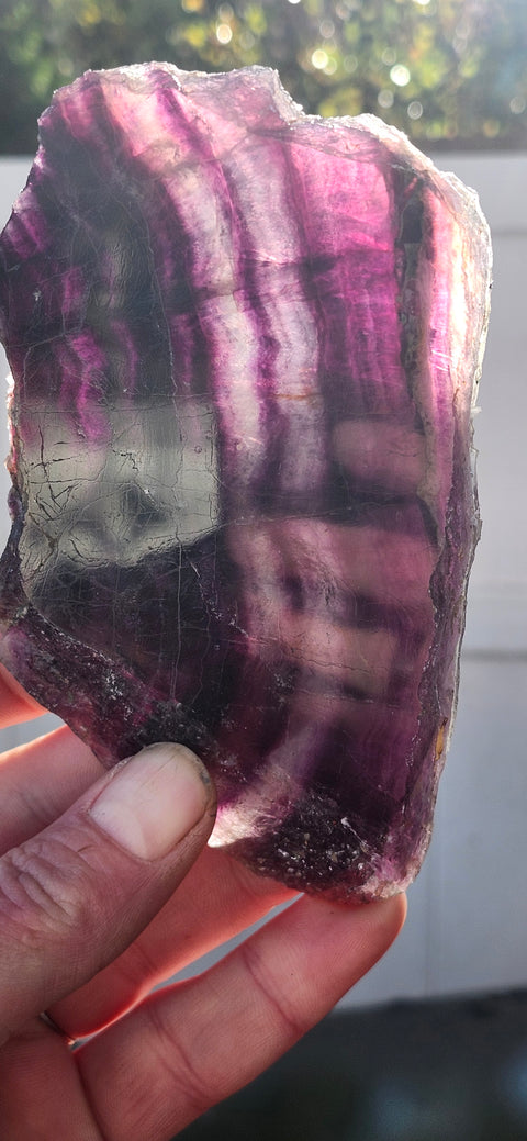 Florite slab! 9.5 ounces, 5 inches long, 3 inches wide!