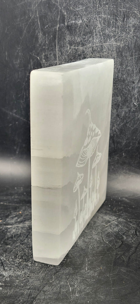 Mushroom selenite charging plate! 12 ounces, 4 inches long!