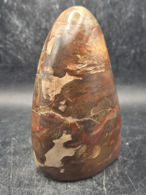 Petrified wood free form! 14.5 ounces, 3.9 inches tall, 2.7" wide
