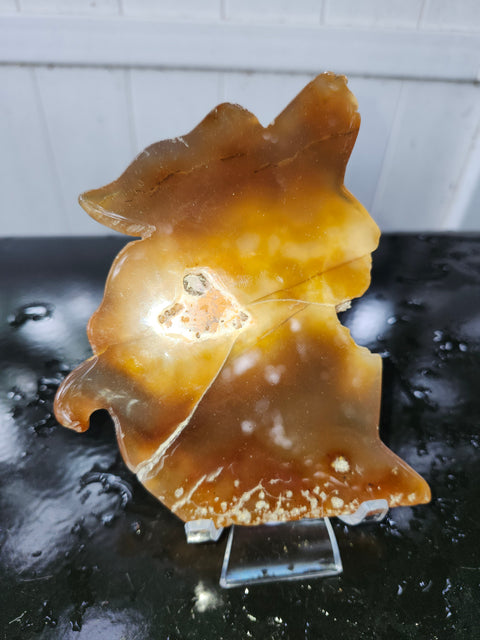 Druzy agate wolf! 9 ounces, 6 inches