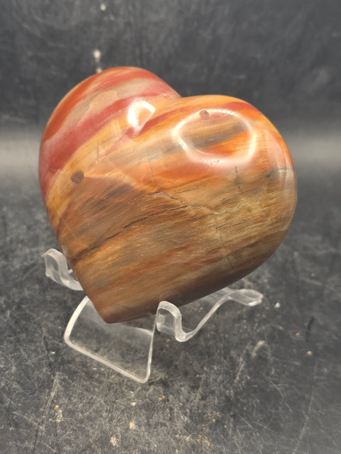 Petrified wood heart! 8.4 ounces, 3 inches wide, 2.7 inches tall!