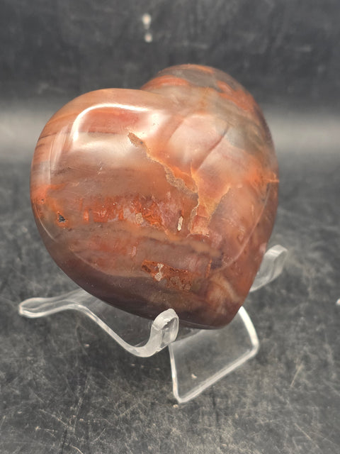 Petrified wood heart! 6.5 ounces, 2.7 inches wide, 2.5 inches tall