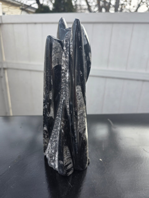 Orthoceras limestone statue! 3.5 pounds, 9 inches tall, 2.5" wide