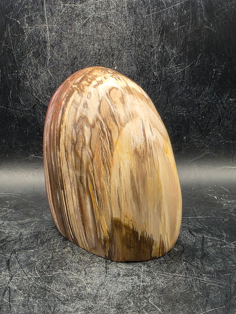 Petrified wood free form! 1.5 pounds, 3.4 inches tall, 3.1" wide