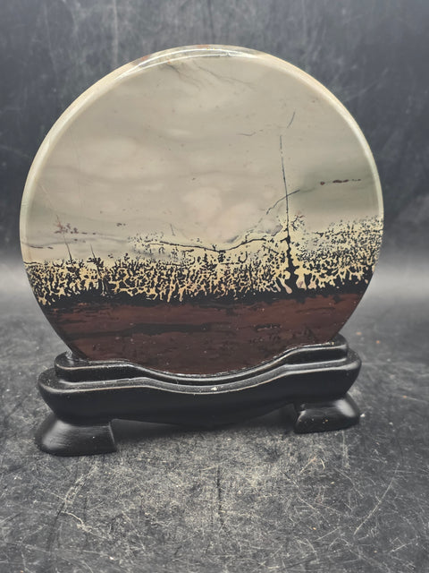 Natural picture jasper slab with stand! 5 ounces, 3.5 inches wide