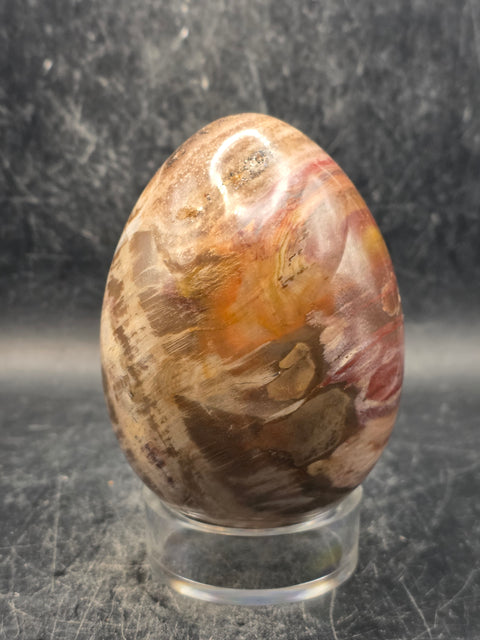 Petrified wood egg! 14.8 ounces, 3.2 inches tall, 2.3 inches wide