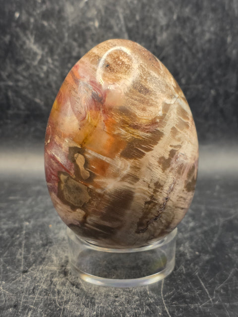 Petrified wood egg! 14.8 ounces, 3.2 inches tall, 2.3 inches wide