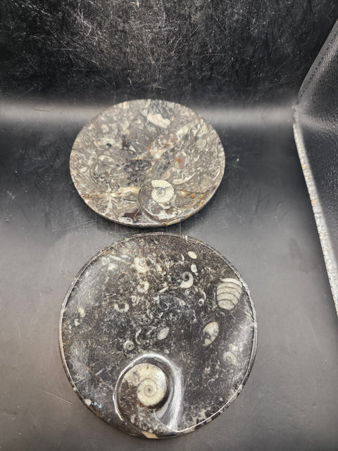 Round orthoceras ammonite fossil dish! 4.2 inches wide, 7 ounces