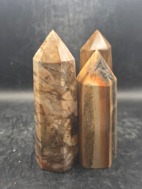 Petrified wood tower! 3.7 to 4.2 inches!