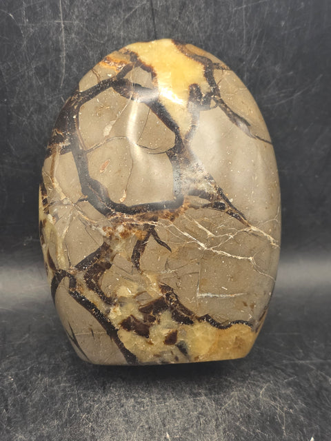 Septarian stone free form! 1.1 pounds, 4 inches tall, 3" wide