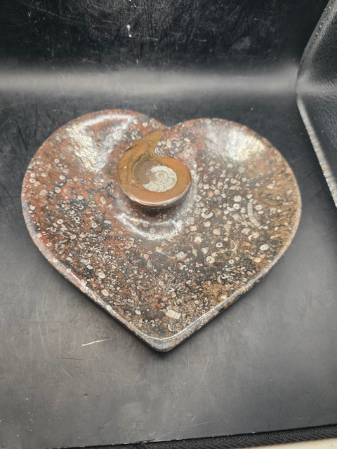 Ammonite fossil heart plate! 6 inches wide, 5.5 inches tall!