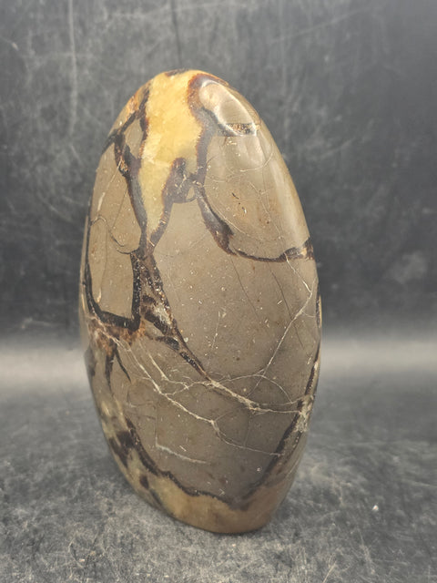 Septarian stone free form! 1.1 pounds, 4 inches tall, 3" wide