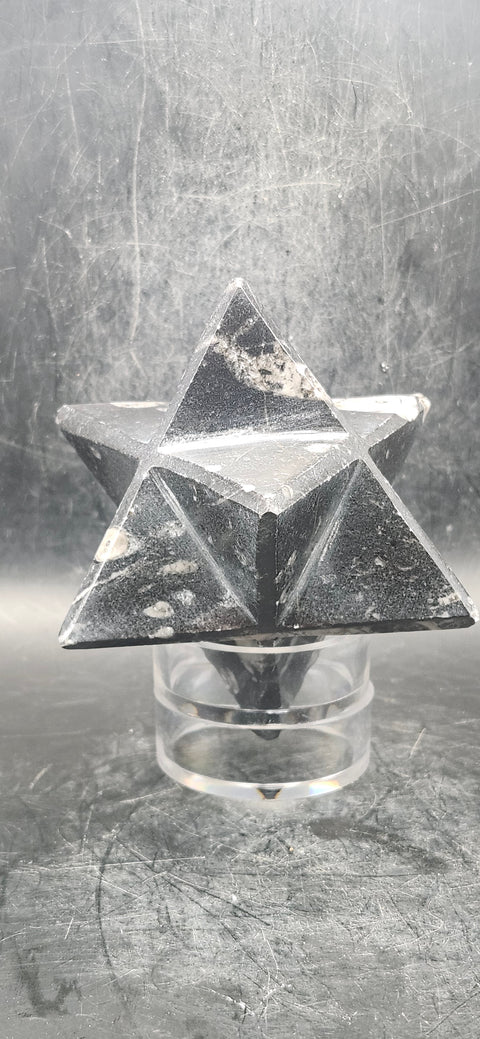 Orthoceras calcite fossil markaba, 10 ounces, 2.2 inches!