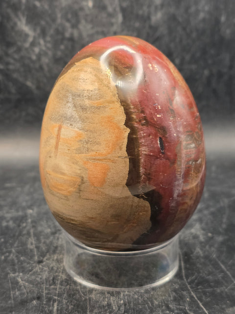 Petrified wood egg! 15 ounces, 3.1 inches tall, 2.4 inches wide!