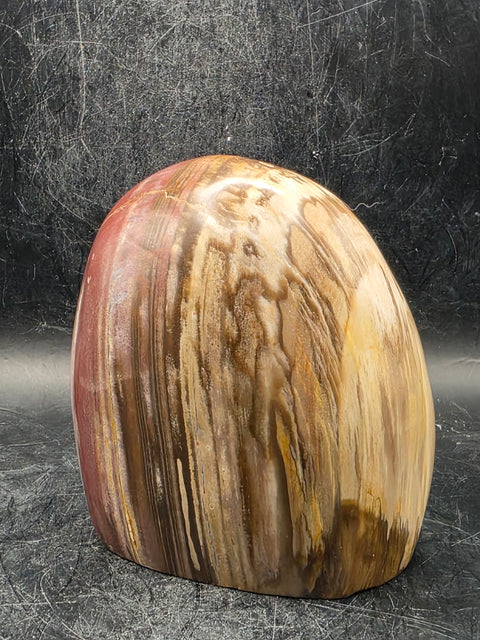 Petrified wood free form! 1.5 pounds, 3.4 inches tall, 3.1" wide