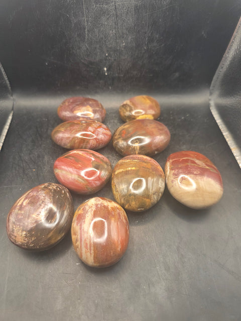 Petrified wood palm stone! 1.8 too 2.2 inches!