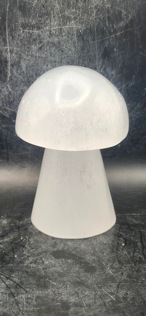 Large Selenite mushroom! 3.7 too 4 inches tall!
