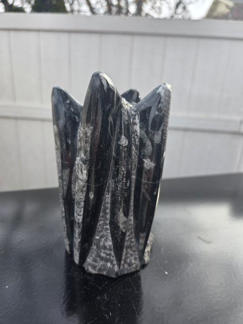 Orthoceras limestone statue! 3.11 pounds, 6 inches tall, 3.6" tall