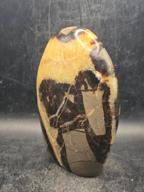 Septarian stone free form! 1.2 pounds, 4.3 inches tall, 3" wide!