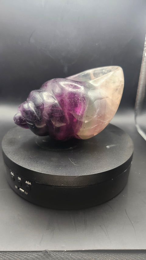 Florite conch shell offering bowl. 1.12 pounds, 4.6 inches long by 3.1 inches wide