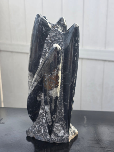 XL orthoceras limestone statue! 4.5 pounds, 9 inches tall, 3.3" wide