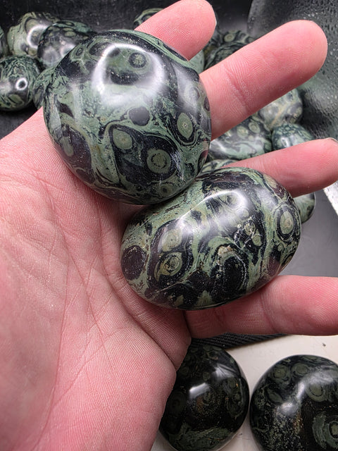 Kambaba Jasper palm stones! Set of 2! 1.6 to 2.6 inches!