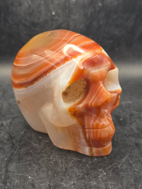 Carnelian agate skull! 15.6 ounces, 3.7" long by 2.9" tall
