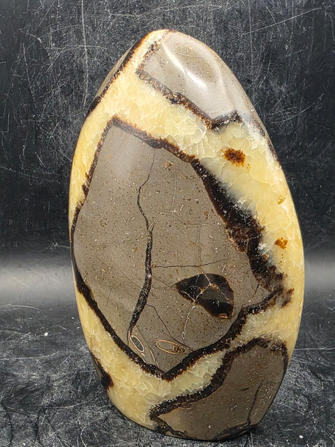 Septarian stone free form! 1.4 pounds!  4.5 inches tall, 3 inches wide