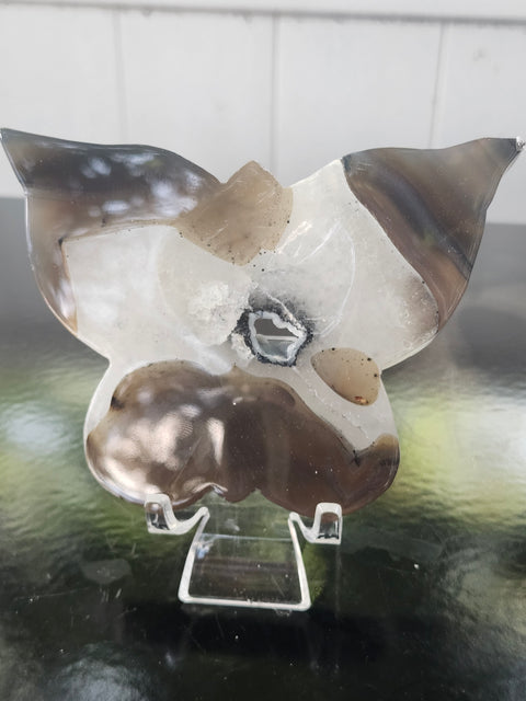 Druzy agate butterfly! 4.9 inches wide, 3.36 inches tall, 8 ounces