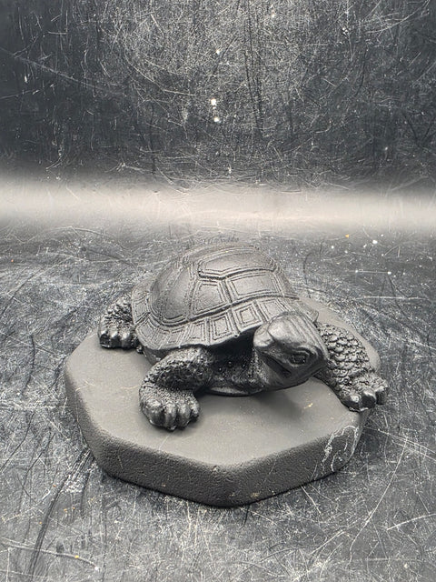 Shungite turtle! 2.9 inches by 2.9 inches, 6 ounces!