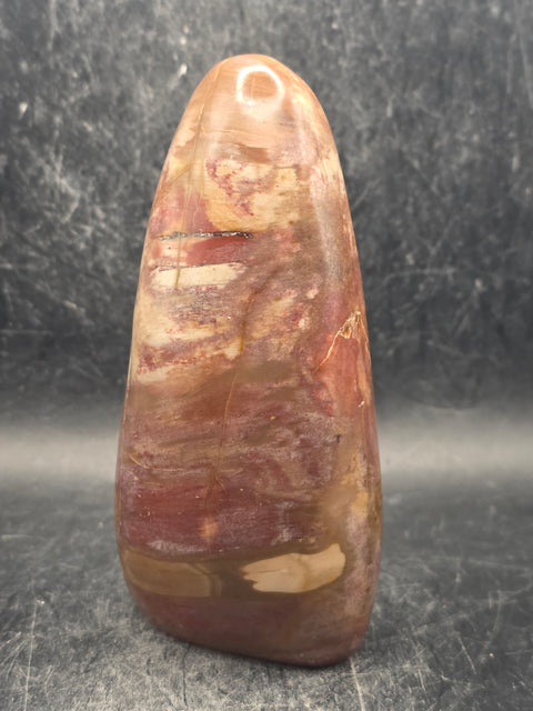 Petrified wood free form! 11.8 ounces, 4.2 inches tall, 2" wide