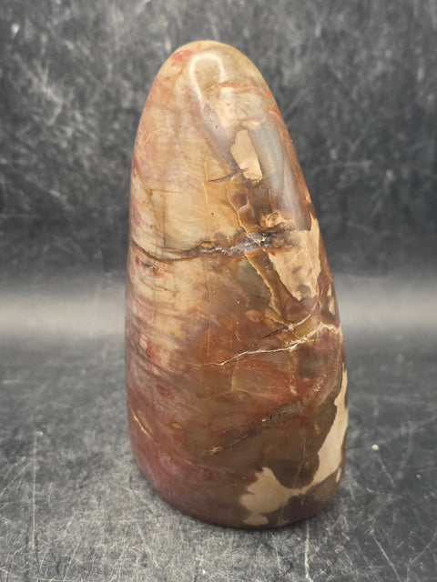 Petrified wood free form! 14.5 ounces, 3.9 inches tall, 2.7" wide