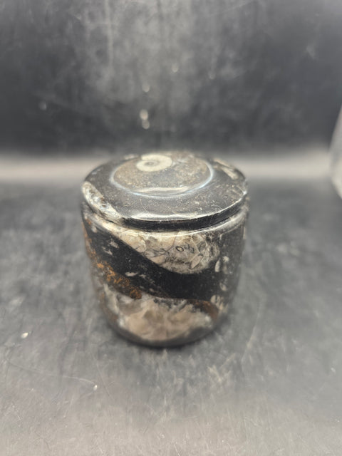 Small round fossil box! 2.4 inches tall, 2.3 inches wide, 8.6 ounces
