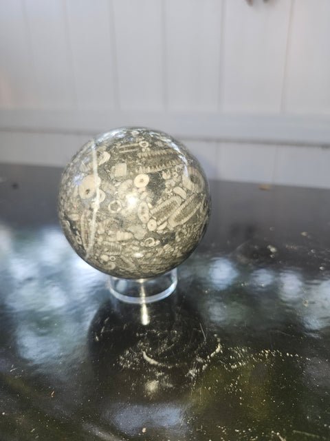 62.5mm, 2.46 inch, 12.4 ounce crinoid fossil sphere