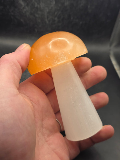 Large Peach top selenite mushroom! 3.9 inches tall